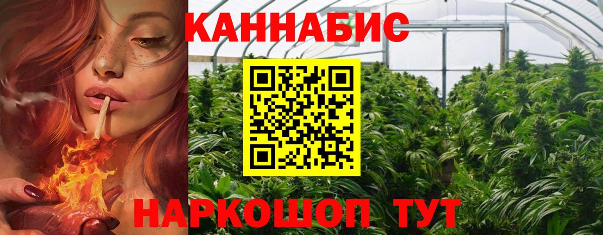 МАРИХУАНА ГИДРОПОН  Вход с VPN  Братск  Каннабис Bruce Banner  Бошки марихуана план 